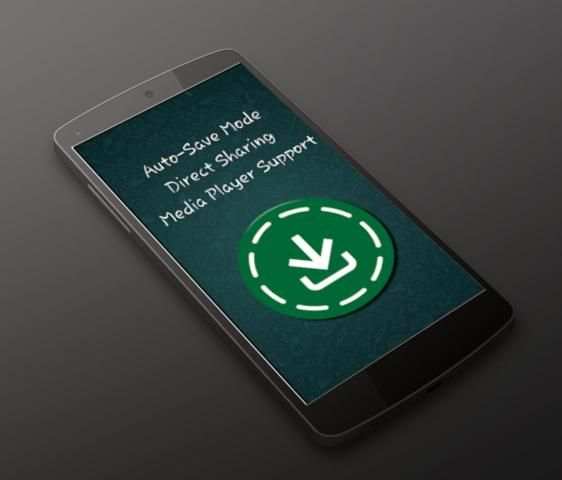 WhatsApp Status Saver & Downloader- Free & Offline screenshot 9