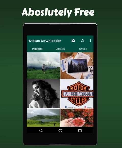 WhatsApp Status Saver & Downloader- Free & Offline screenshot 4