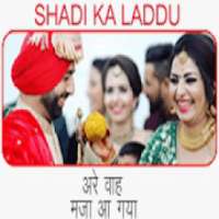 Shadi ka laddu आइकन