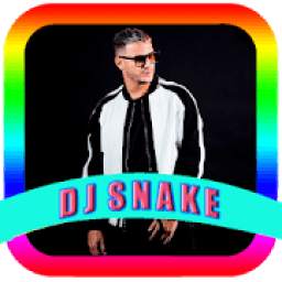 DJ SNAKE 1.0