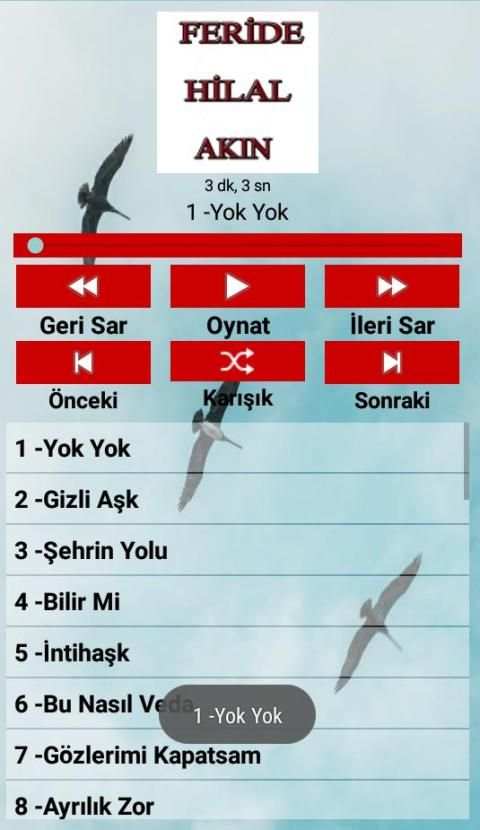 Feride Hilal AKIN Şarkıları (İnternetsiz 40 Şarkı) screenshot 6