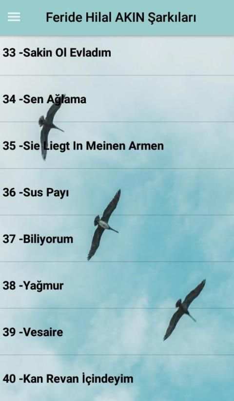 Feride Hilal AKIN Şarkıları (İnternetsiz 40 Şarkı) screenshot 1