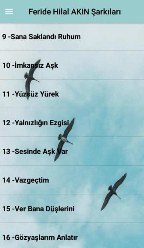 Feride Hilal AKIN Şarkıları (İnternetsiz 40 Şarkı) screenshot 5
