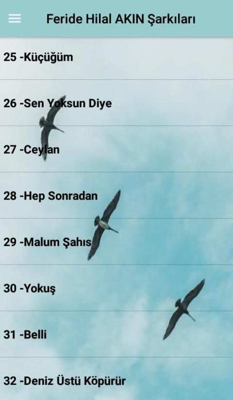 Feride Hilal AKIN Şarkıları (İnternetsiz 40 Şarkı) screenshot 2