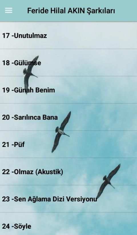 Feride Hilal AKIN Şarkıları (İnternetsiz 40 Şarkı) screenshot 3