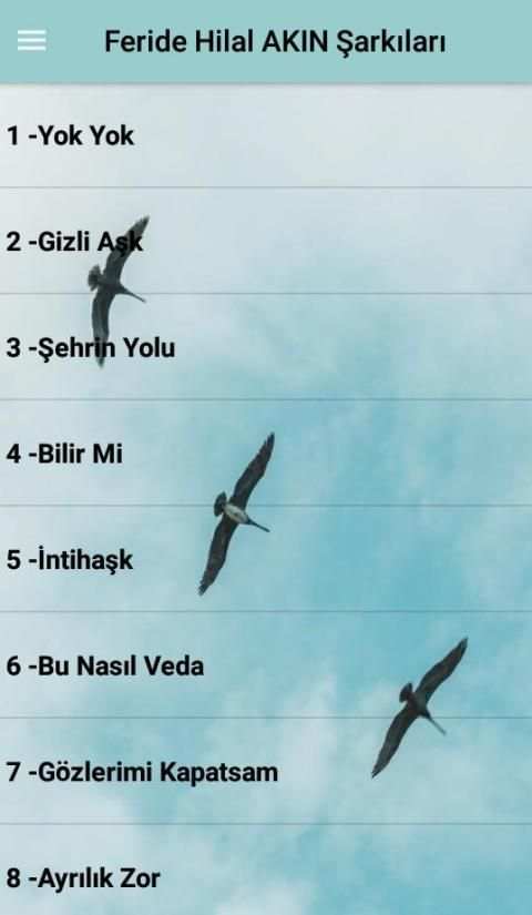 Feride Hilal AKIN Şarkıları (İnternetsiz 40 Şarkı) screenshot 7