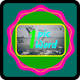 1 pic 1 word icon