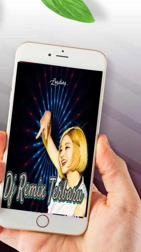 Dj Remix Terbaru screenshot 3