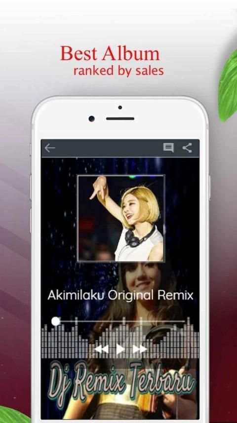 Dj Remix Terbaru screenshot 1