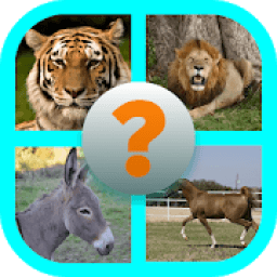 ikon Guess The Picture - Animals