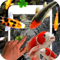 3d Aquarium Koi Wallpapers APK Download 2023 - Free - 9Apps 3d Aquarium Koi Wallpapers APK Download 2023 - Free - 9Apps