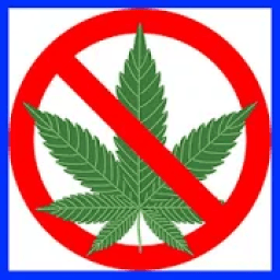 ikon Dejala Marihuana >> ❌ <<