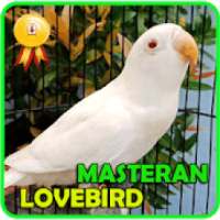 Masteran Lovebird Ngetik - Ngekek Panjang on 9Apps