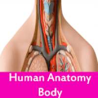 Human anatomy body on 9Apps