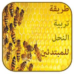 تربية النحل وانتاج العسل‎‎ 9.9