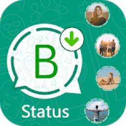 Bizz Status Download for Whatsapp Business