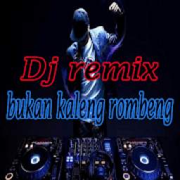 dj remik mix 1.0