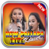 New Pallapa - Live Concert on 9Apps