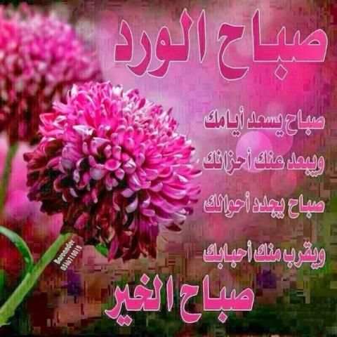 أجمل رسائل الصباح و المساء متحركة
‎ screenshot 3