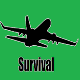 ikon Plane Survival