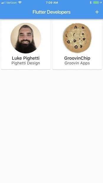 Flutter Developers screenshot 2