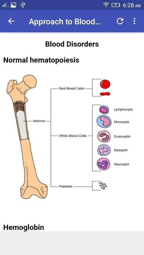 Hematology Overview screenshot 7