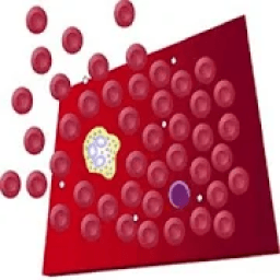 ikon Hematology Overview