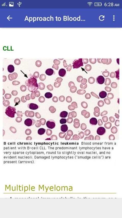 Hematology Overview screenshot 6