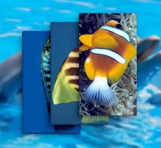 Fish Wallpaper (Offline) screenshot 2