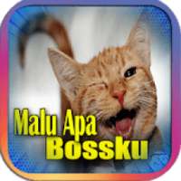Malu Apa Bossku Photo Sticker & Frame on 9Apps