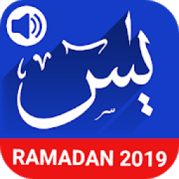 Surah Yaseen with Translation आइकन