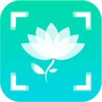 Plant Seed Snap on 9Apps