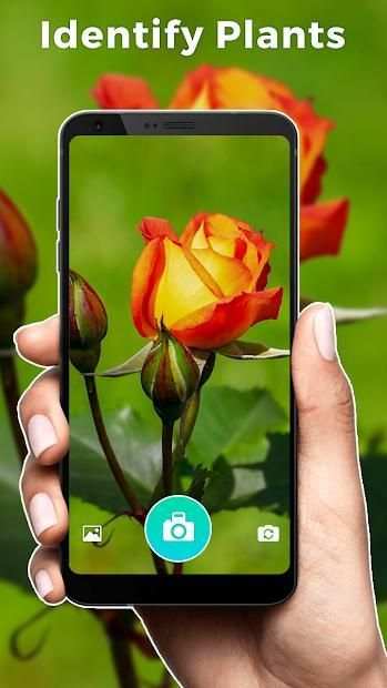 Plant Seed Snap screenshot 4