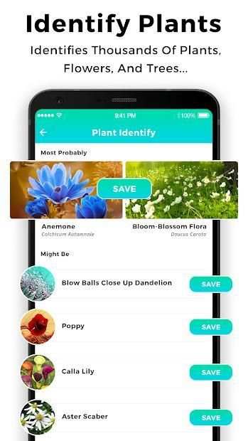 Plant Seed Snap screenshot 3