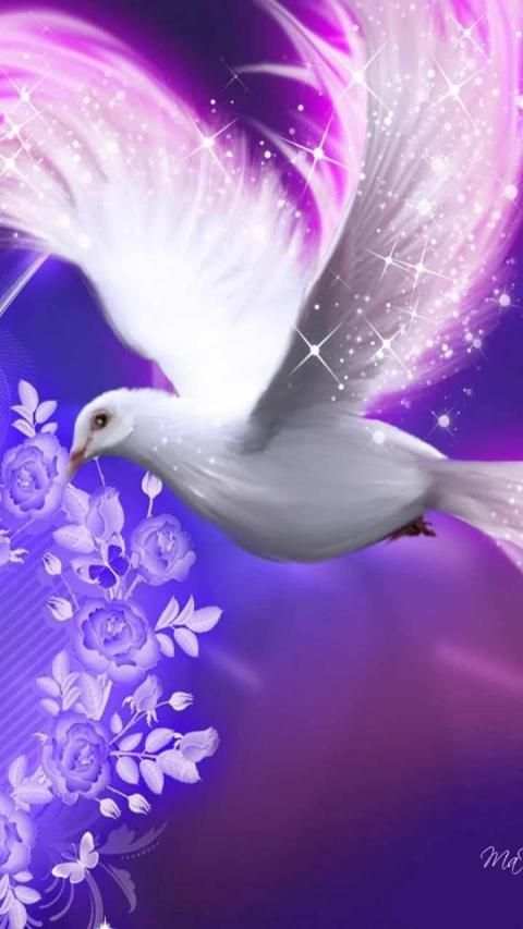 Pigeon Wallpaper screenshot 10