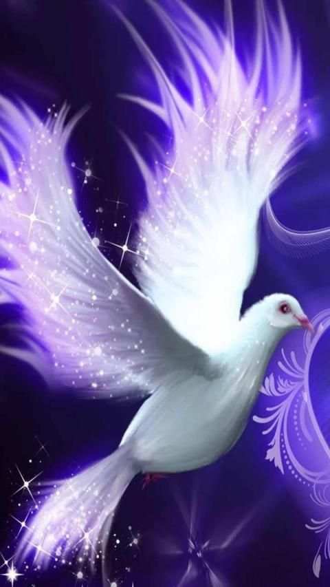 Pigeon Wallpaper screenshot 9