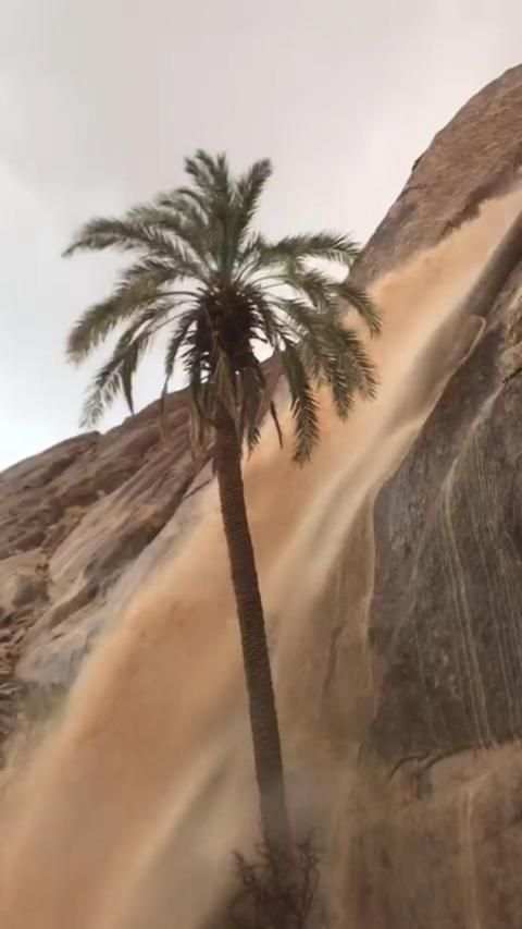 فصول السنة وأنجمها
‎ screenshot 2