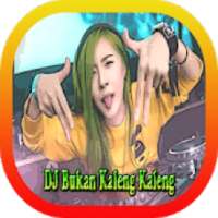 DJ Bukan Kaleng Kaleng Remix Offline on 9Apps