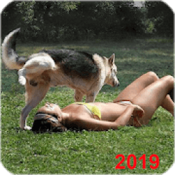 Top Funny Videos 2019 ! आइकन