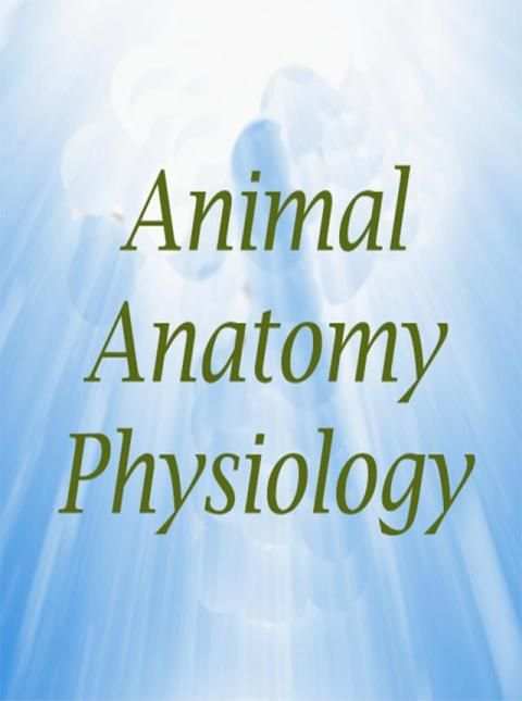 Animal anatomy physiology screenshot 3