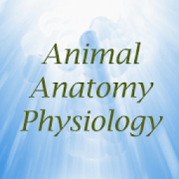 ikon Animal anatomy physiology