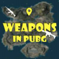 Weapons In PUBG