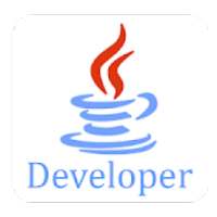 Java Developer
