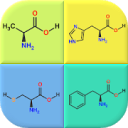 ikon Amino Acids Structures - Quiz and Flashcards