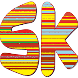 SK CASH PRO icon