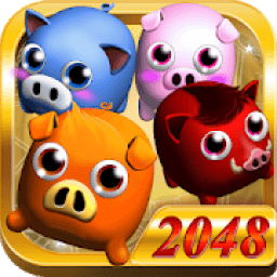 ikon Piggy Clash 2048