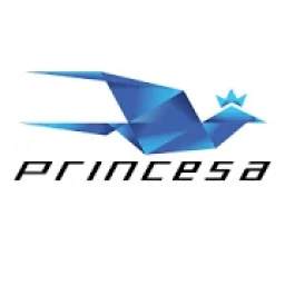 Viação Princesa