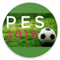 ikon PES 19 :MANUAL