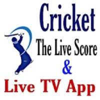 Cricket Score Notification