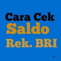 CARA CEK SALDO TABUNGAN BRI on 9Apps